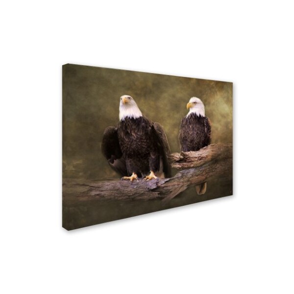 Jai Johnson 'Mates Bald Eagle Pair' Canvas Art,24x32